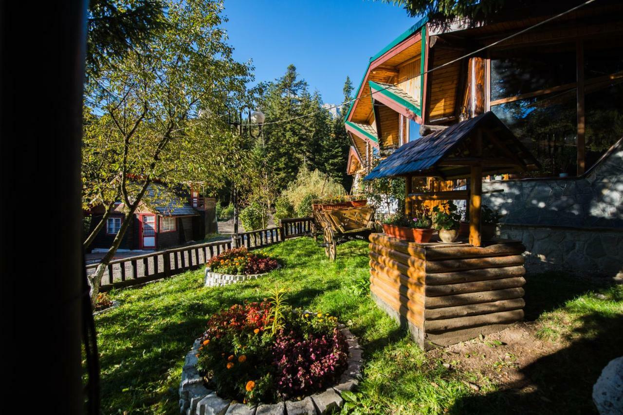 Gura Diham Hotel Busteni Exterior photo